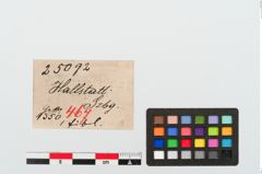 Etiketten zu Bronzekahnfibel (NHMW-PRAE-025092)